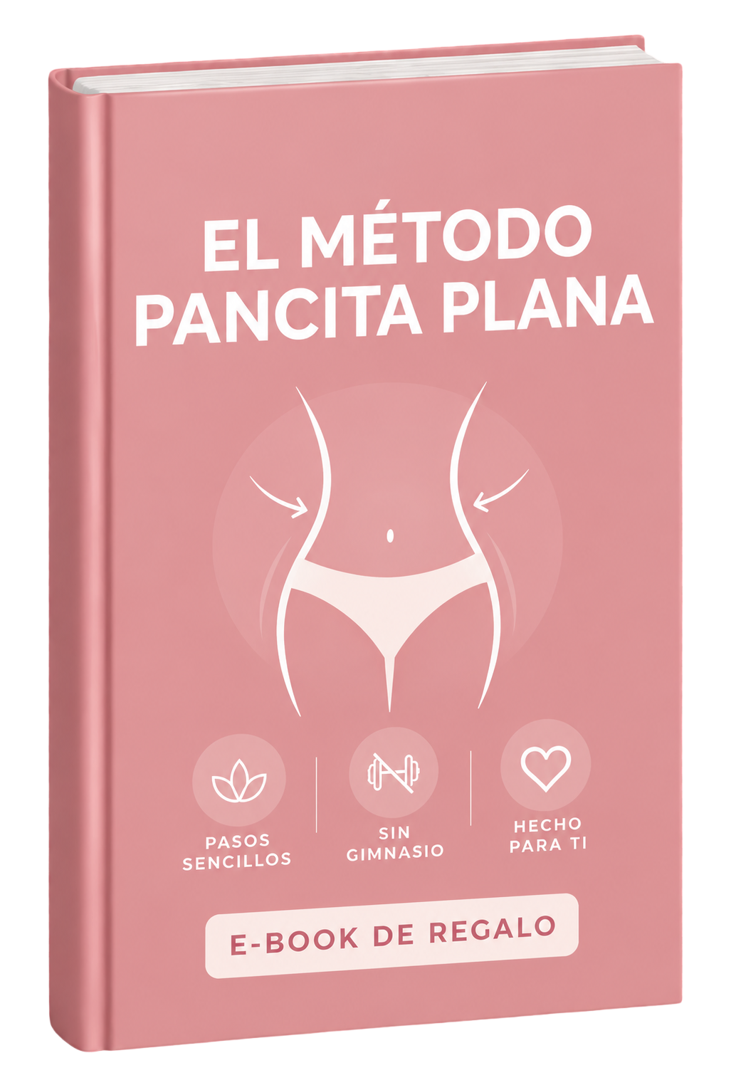 eBook "Pancita Plana"